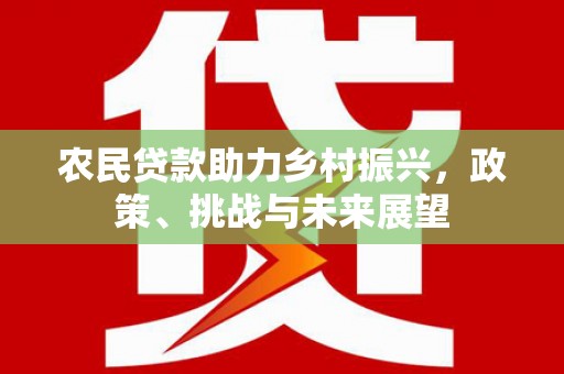 张家川农民贷款助力乡村振兴，政策、挑战与未来展望