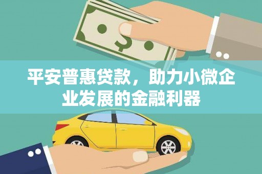 张家川平安普惠贷款，助力小微企业发展的金融利器