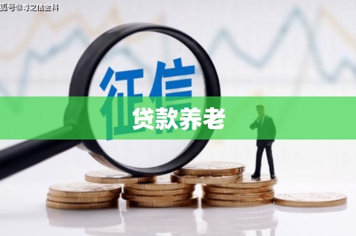 张家川贷款养老