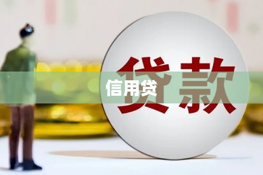 张家川信用贷