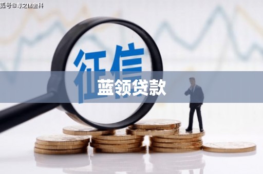 张家川蓝领贷款