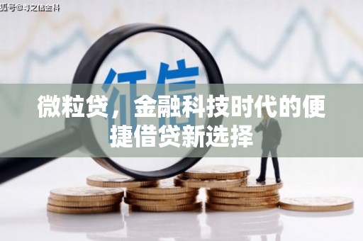 张家川微粒贷，金融科技时代的便捷借贷新选择
