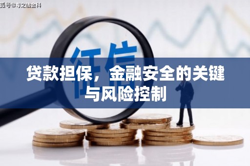 张家川贷款担保，金融安全的关键与风险控制