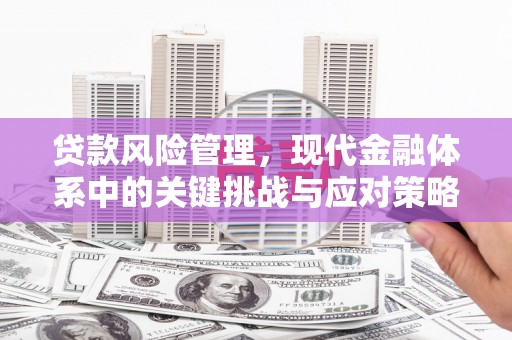 张家川贷款风险管理，现代金融体系中的关键挑战与应对策略
