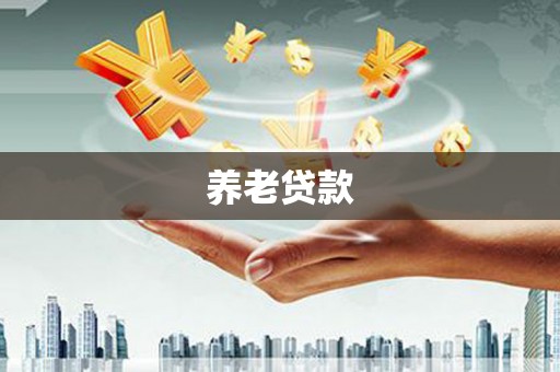 张家川养老贷款