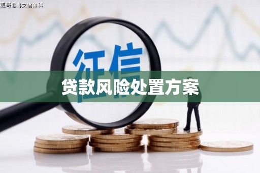 张家川贷款风险处置方案