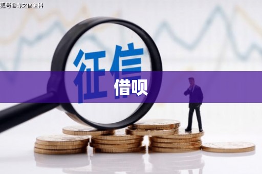 张家川借呗