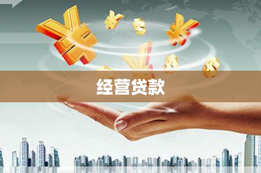 张家川经营贷款