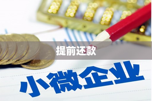 张家川提前还款
